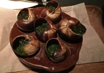 迪拜美食之旅：对法餐的情有独钟