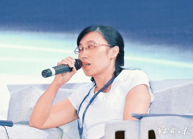 各路嘉宾“绸都论剑” 四川如何发展特色小城镇(图8) 各路嘉宾“绸都论剑” 四川如何发展特色小城镇(图8)