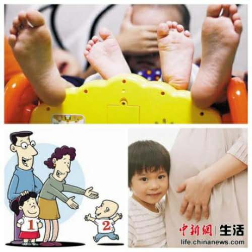 资料图 资料图