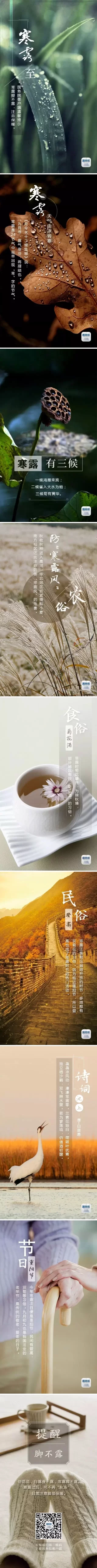 今日寒露|第一个带“寒”字的节气，深秋的脚步近了(图1)