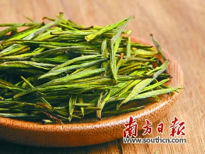 四季茶品怎么选?原来还有这些讲究(图1) 四季茶品怎么选?原来还有这些讲究(图1)