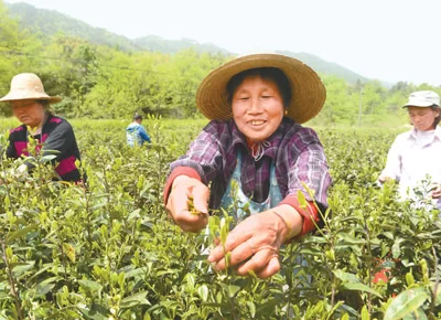 传承创新基因 闯出改革新路(改革)(图2) 传承创新基因 闯出改革新路(改革)(图2)