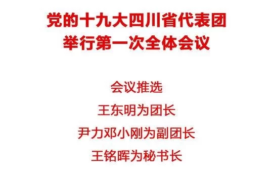 党的十九大四川省代表团举行第一次全体会议 推选王东明为团长(图1) 党的十九大四川省代表团举行第一次全体会议 推选王东明为团长(图1)