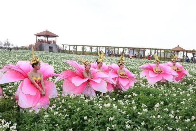 花中精灵