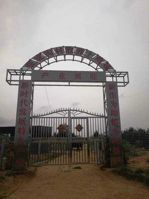 陕北榆阳麻黄梁镇:打实乡村振兴“厚底子” 拓宽脱贫致富“新路子”(图1) 产业振兴