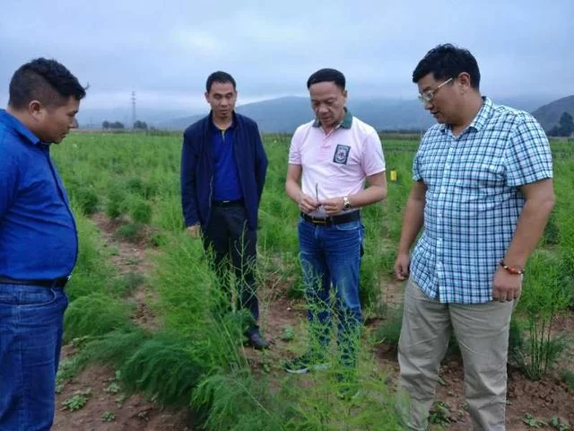 17个农民兄弟和第一个蔬菜产销合作社(图3) 17个农民兄弟和第一个蔬菜产销合作社(图3)