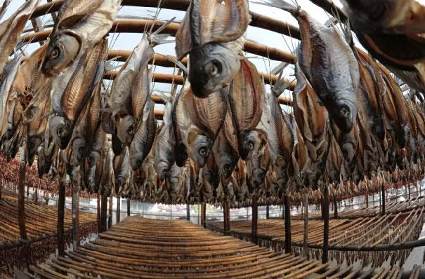 鑫源食品,舌尖上的东莞味道(图5) 鑫源食品,舌尖上的东莞味道(图5)