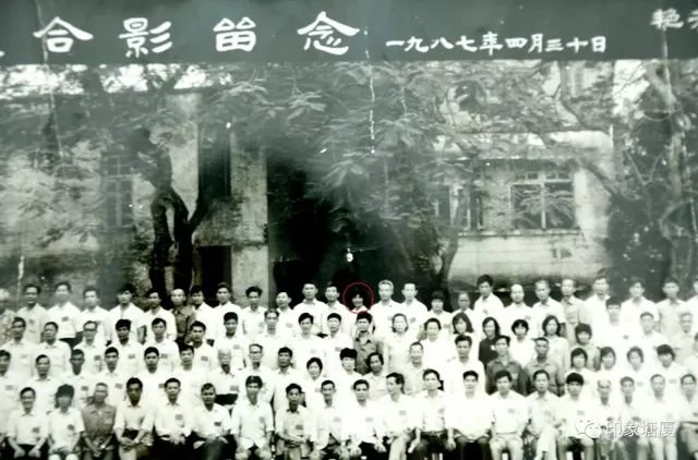 叶小红:敢为人先的巾帼企业家(图3) 叶小红:敢为人先的巾帼企业家(图3)