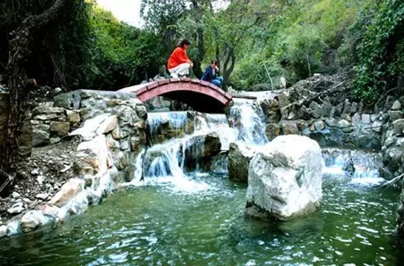 春暖花开 疫情尽散 春游去吧!(图16) 春暖花开 疫情尽散 春游去吧!(图16)