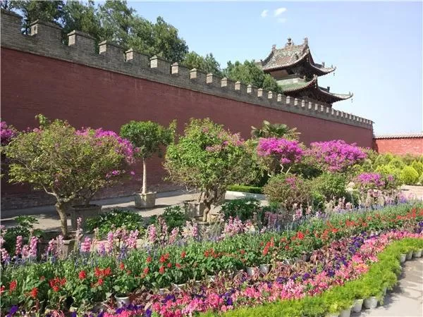 春暖花开 疫情尽散 春游去吧!(图1) 春暖花开 疫情尽散 春游去吧!(图1)