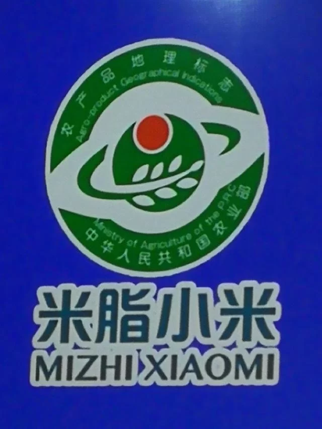 貂蝉故里米脂县:久负盛名的“米脂小米”乘上了航天育种“火箭专车”(图2) 貂蝉故里米脂县:久负盛名的“米脂小米”乘上了航天育种“火箭专车”