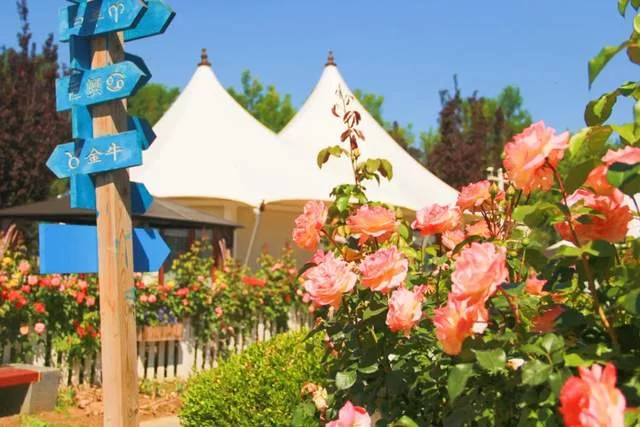 顺意好礼彰显地域特色,顺义文旅助力文化传承(图3) 顺意好礼彰显地域特色,顺义文旅助力文化传承(图3)