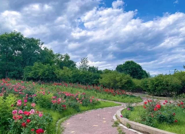 顺意好礼彰显地域特色,顺义文旅助力文化传承(图2) 顺意好礼彰显地域特色,顺义文旅助力文化传承(图2)