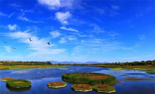 “顺意好礼”决赛作品精彩纷呈,尽展顺义风景名胜风貌(图8) “顺意好礼”决赛作品精彩纷呈,尽展顺义风景名胜风貌(图8)