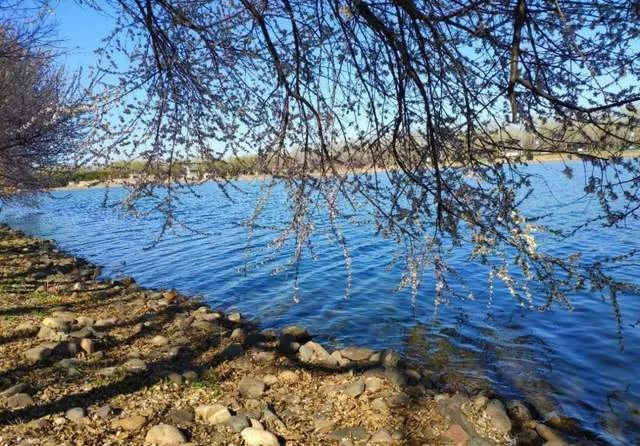 “顺意好礼”决赛作品精彩纷呈,尽展顺义风景名胜风貌(图4) “顺意好礼”决赛作品精彩纷呈,尽展顺义风景名胜风貌(图4)