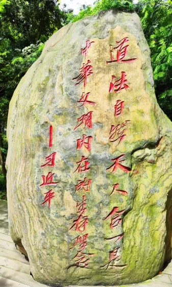 弘扬践行中医药“上医治国”文化,助力化解时代面临之种种问题