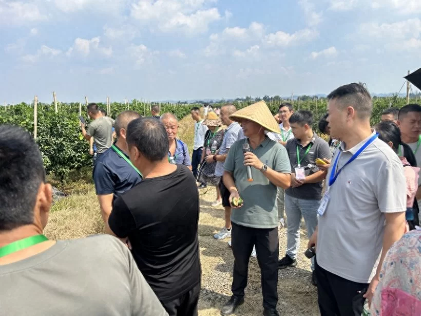 成都市农民合作社和家庭农场负责人素质提升培训和专业技术培训顺利实施(图3) 成都市农民合作社和家庭农场负责人素质提升培训和专业技术培训顺利实施(图3)
