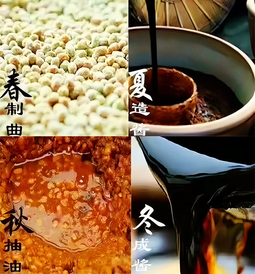 未标题-1_副本.jpg