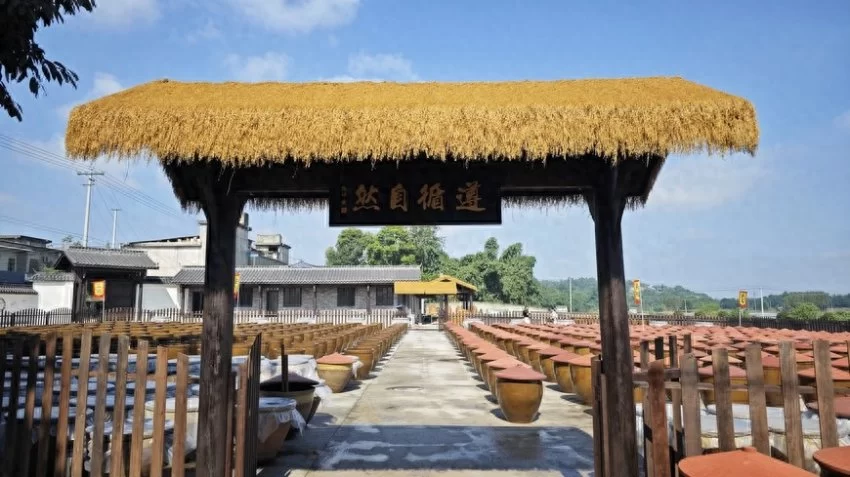 颠覆传统!豆酱香型酒创新制法,开启白酒生产新纪元