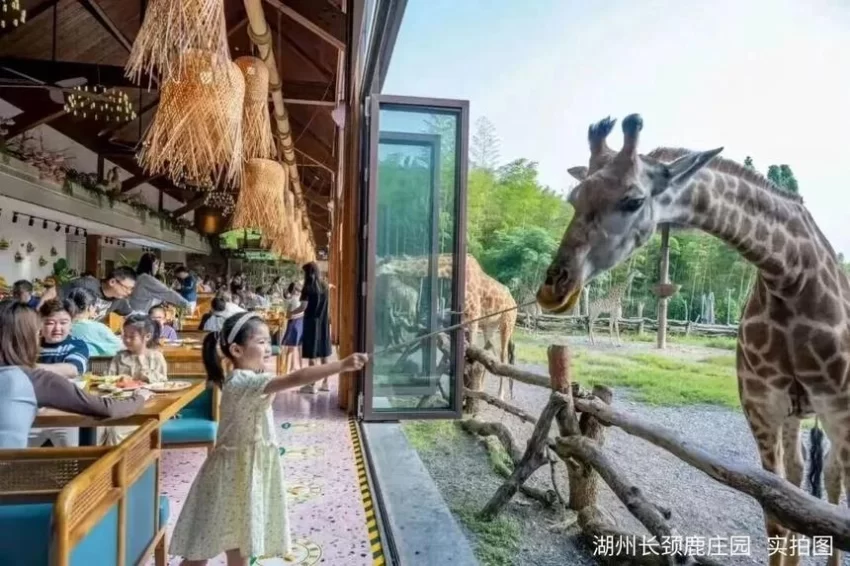 “聪明游”如何提供旅游新体验？(图4)